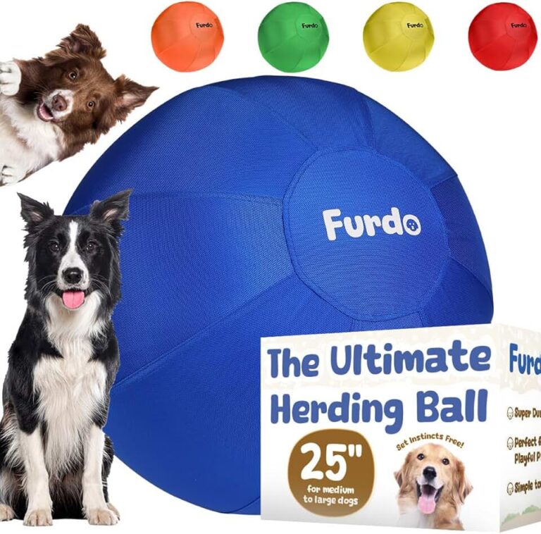 25 Herding Ball