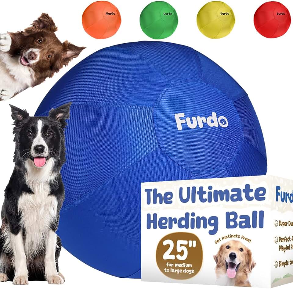 25 Herding Ball