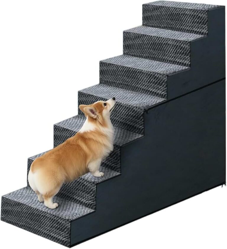 31 H Dog Stairs