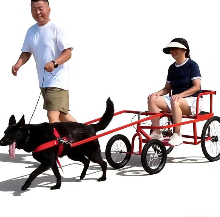4-Wheel Dog Trolley