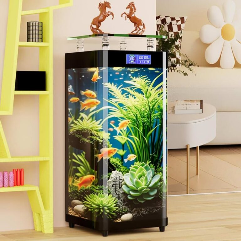 50 Gallon No-Water-Change Fish Tank