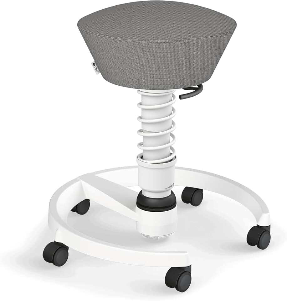 Aeris Motion Swopper Chair