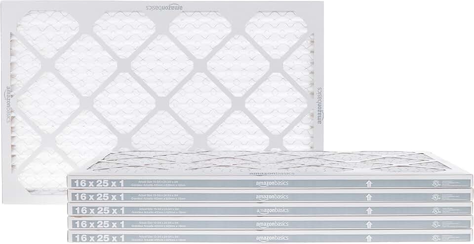 Amazon Basics MERV 11 Filter
