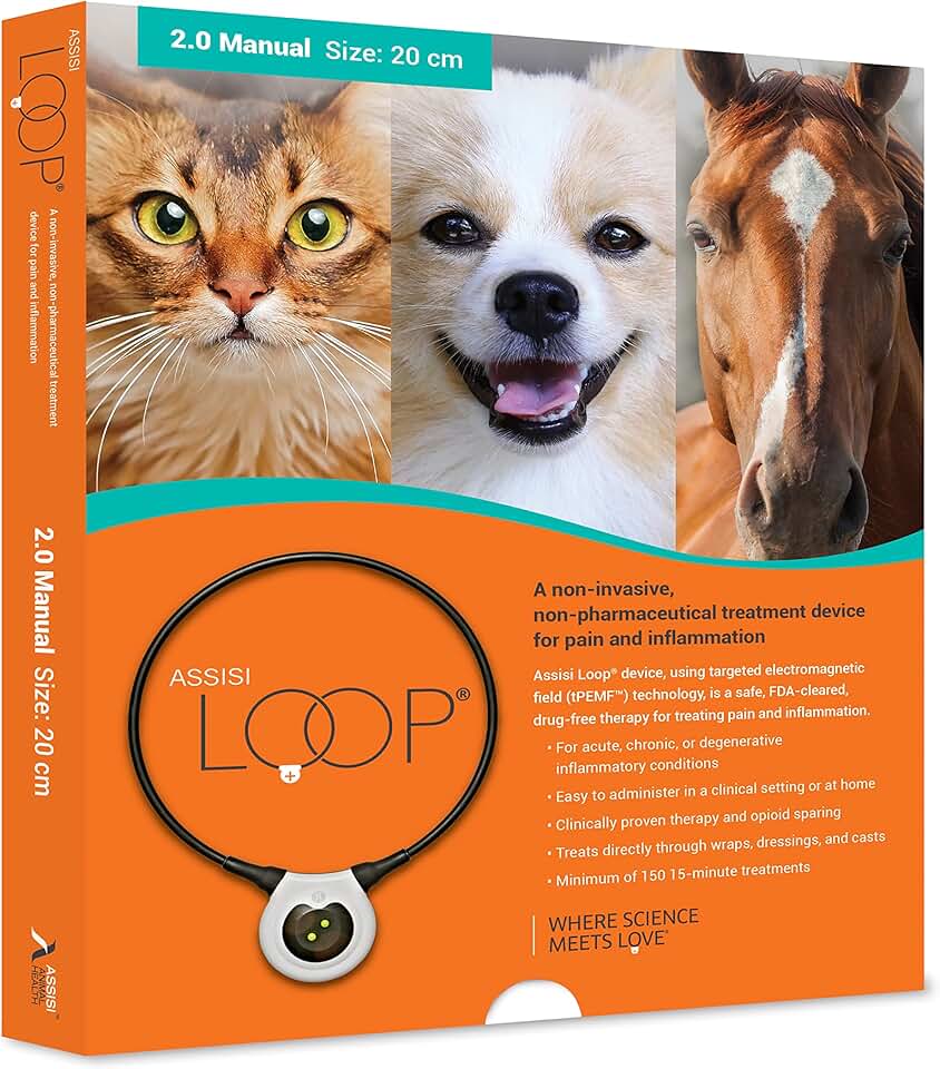 Assisi Loop 2.0 Manual