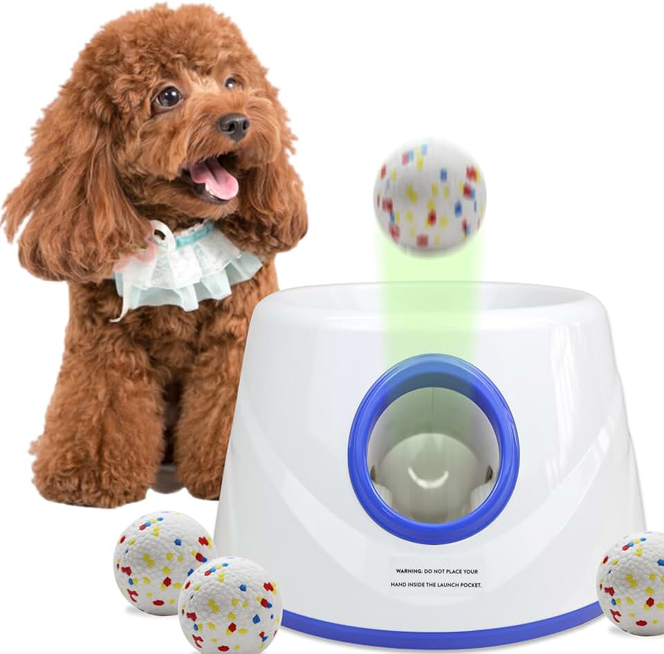 Automatic Dog Ball Launcher