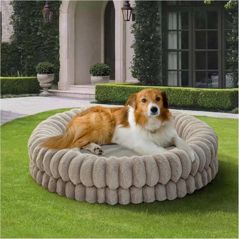 BALANCE Donut Dog Bed