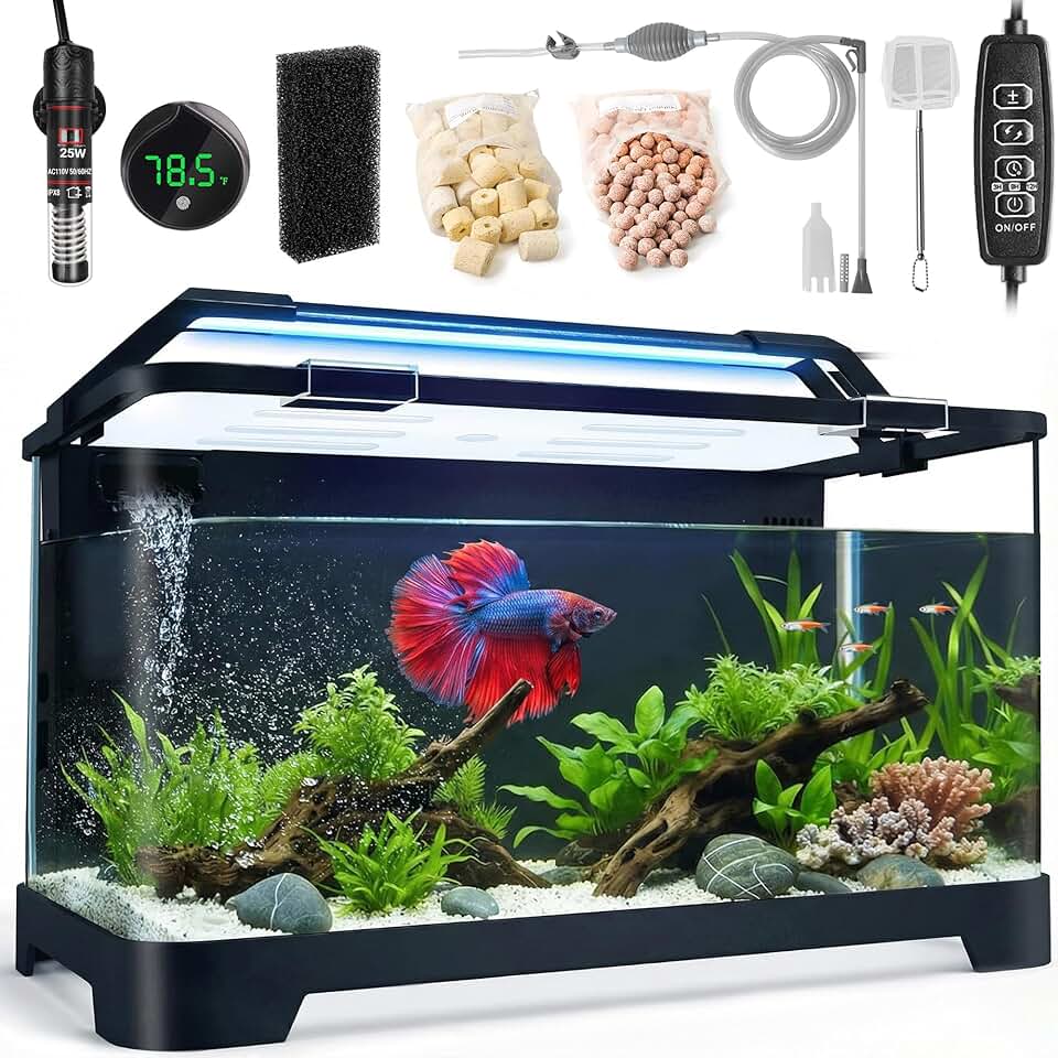 Betta Fish Tank Kit