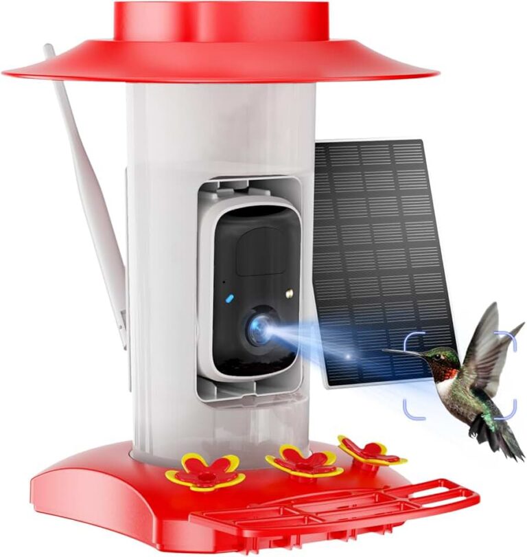 Hummingbird Feeder Camera