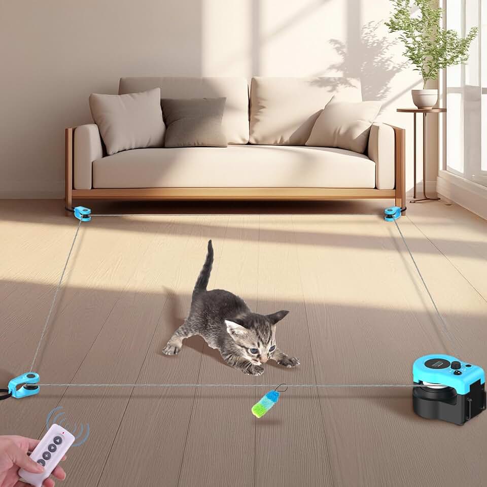 Interactive Cat Treadmill