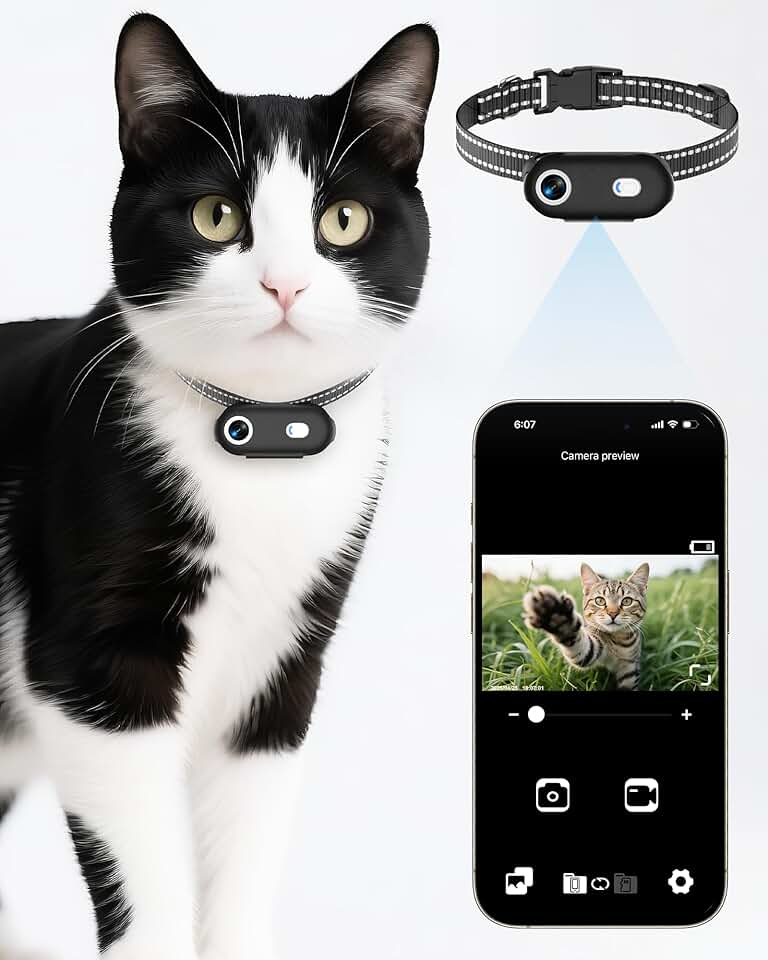 Cat Camera Collar