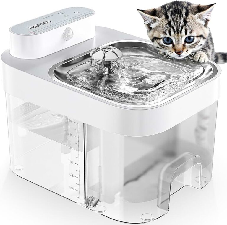 Cat Water Fountain