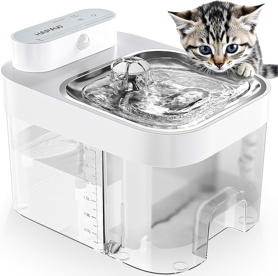 Cat Water Fountain