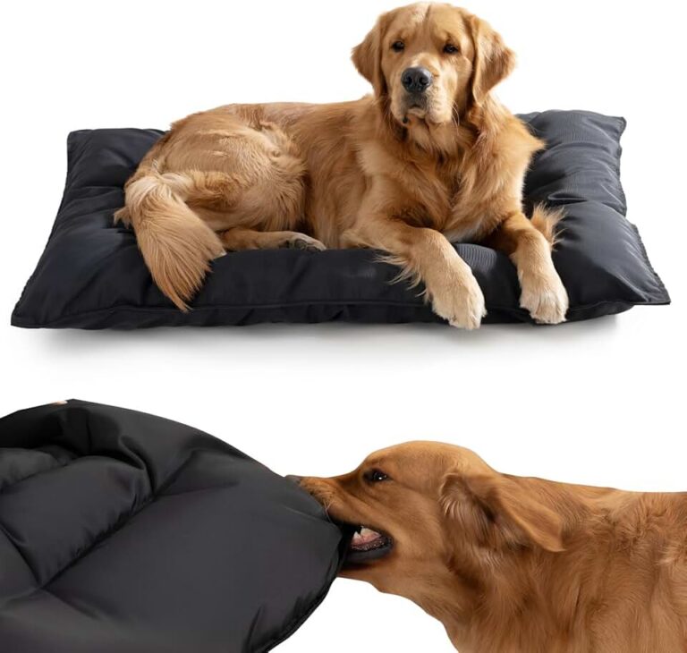 Chew Proof Dog Bed