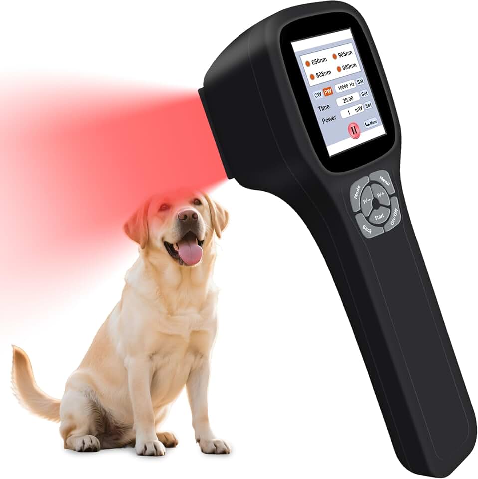 Cold Laser Therapy Device