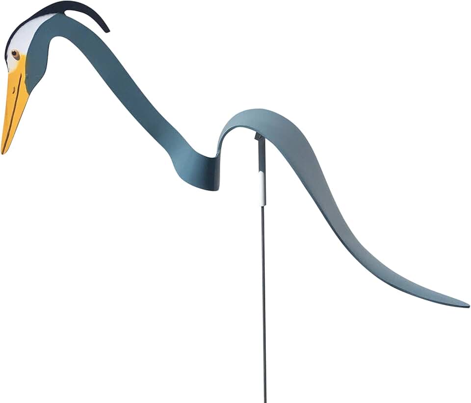 Dancing Yard Blue Heron