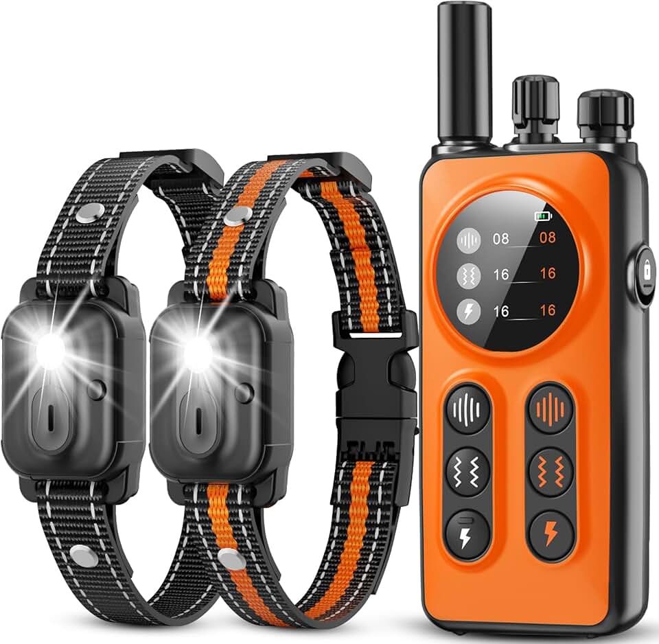 Dog Shock Collar 2 Dogs