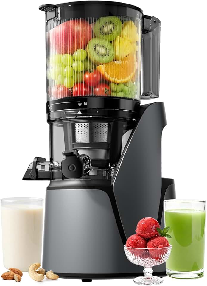 EanOruus Cold Press Juicer