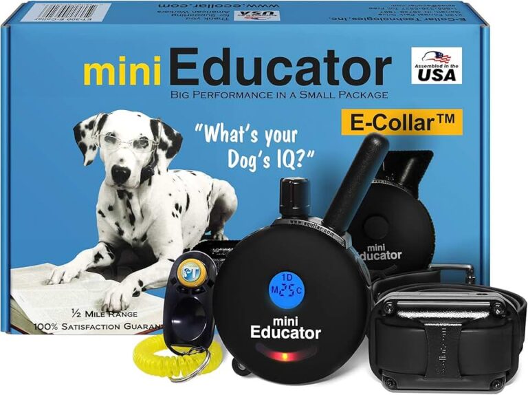Educator ET-300 Mini E Collar