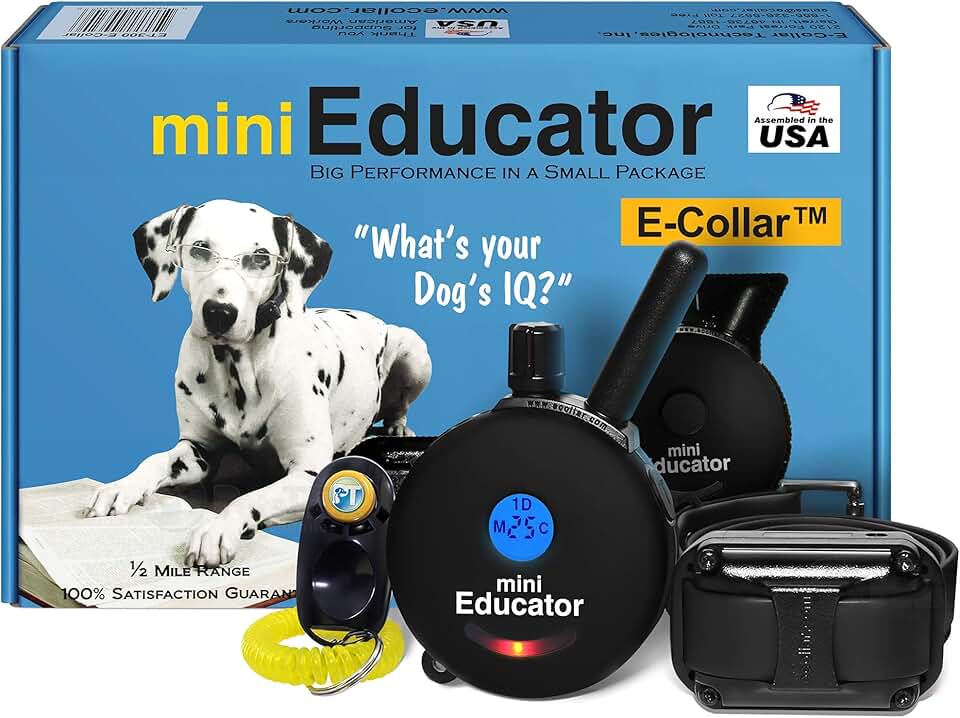 Educator ET-300 Mini E Collar