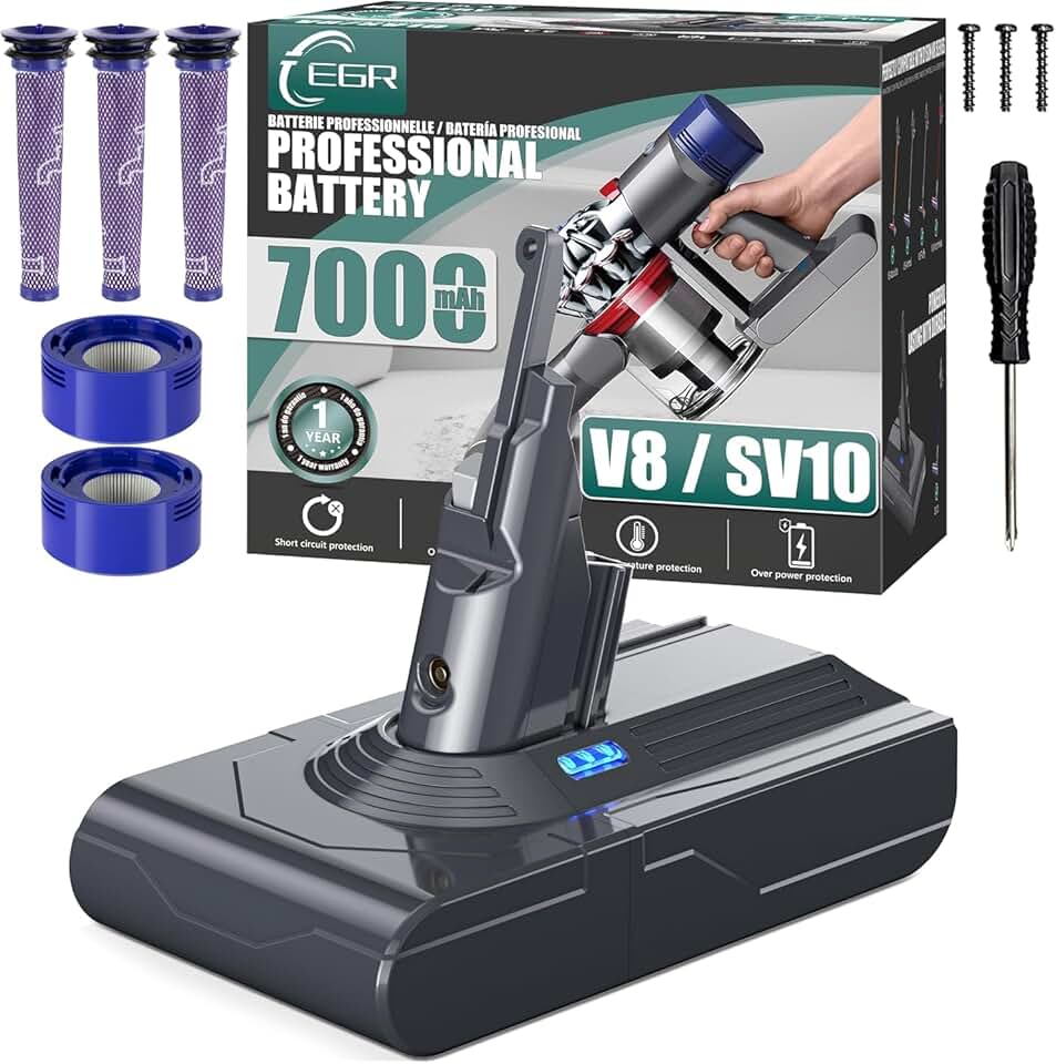 EGR Upgraded V8 Battery