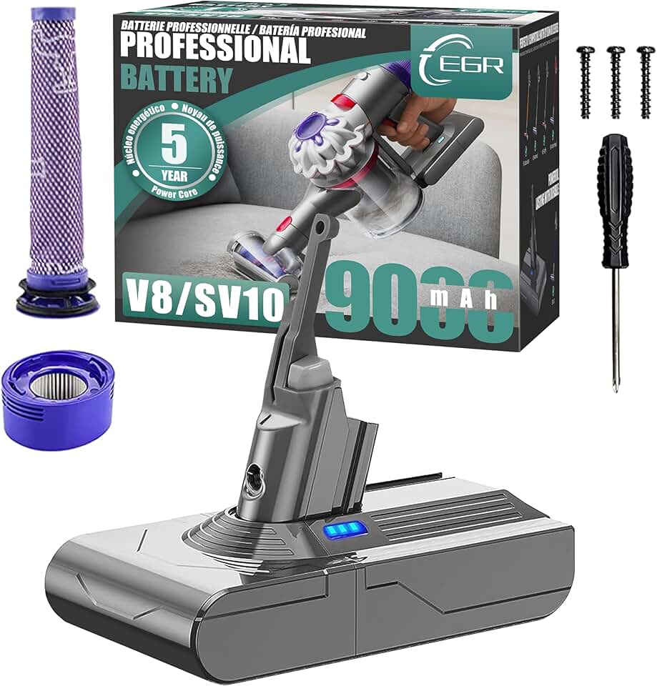 EGR V8 Battery Replacement