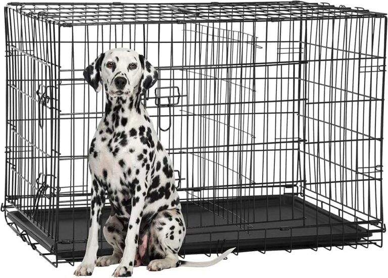 FDW 48-inch Dog Crate