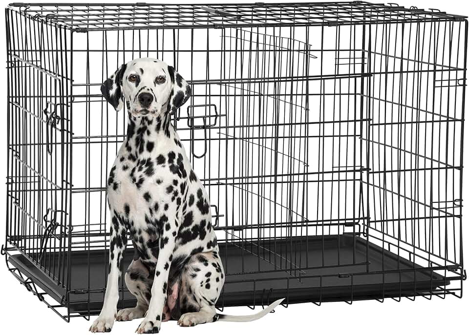 FDW 48-inch Dog Crate