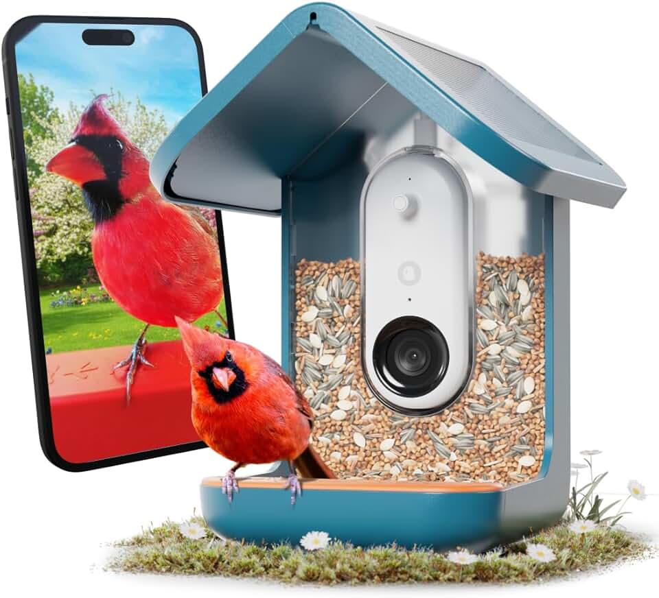 Birdbuddy PRO Solar Feeder
