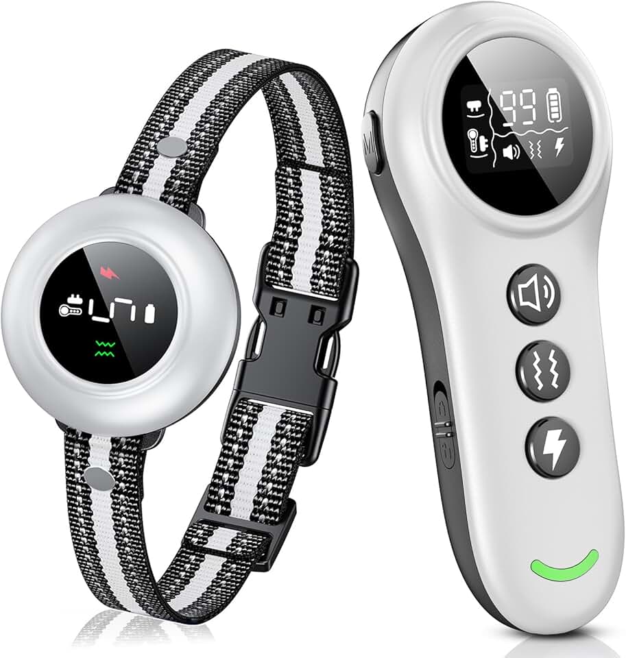 Dog Shock Collar