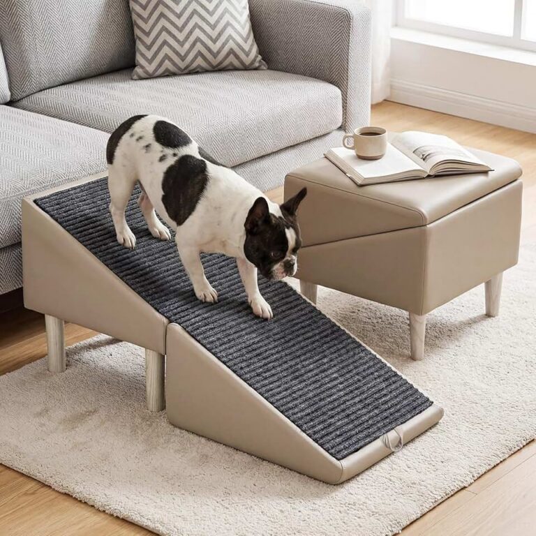 Dog Safety Ramps