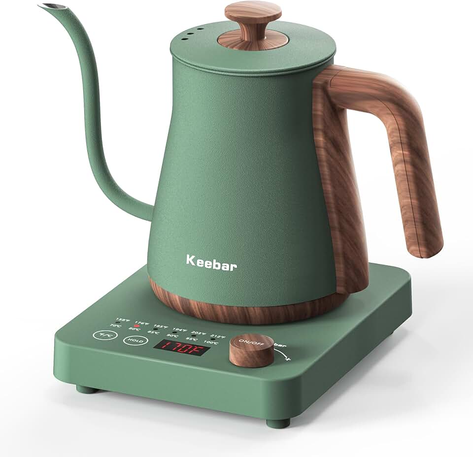 Gooseneck Electric Kettle