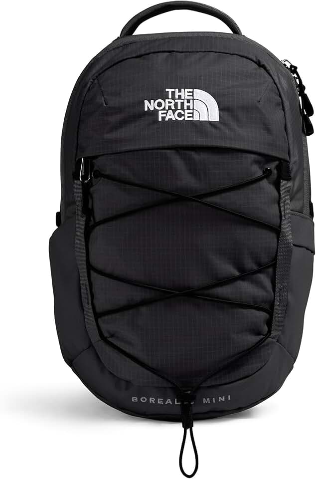 North Face Borealis Mini Backpack