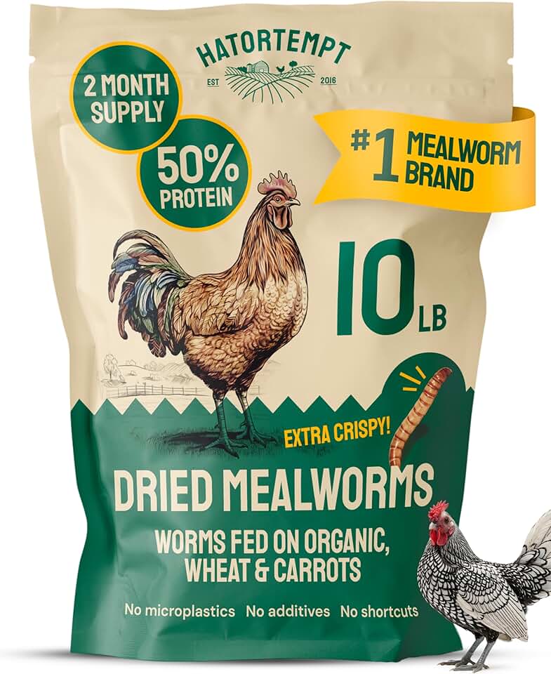 Hatortempt Dried Mealworms