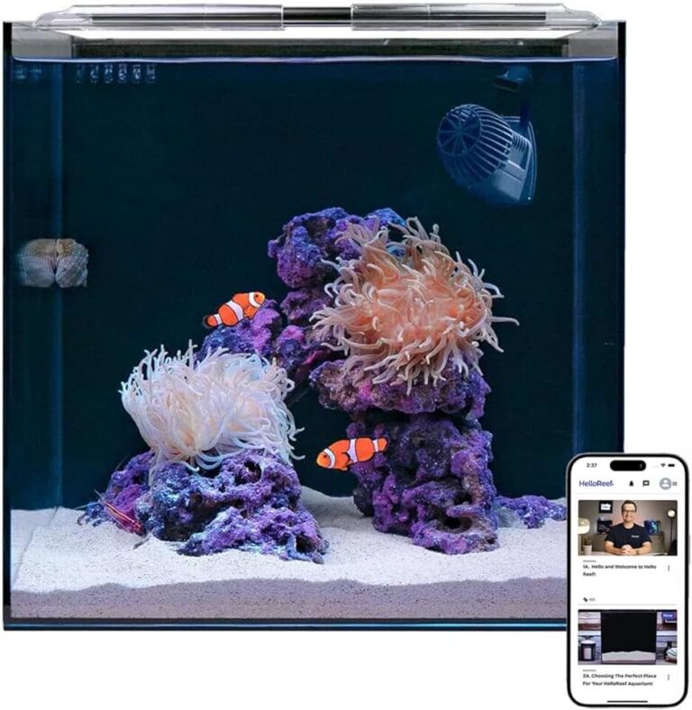 HelloReef 15 Gallon Aquarium Kit