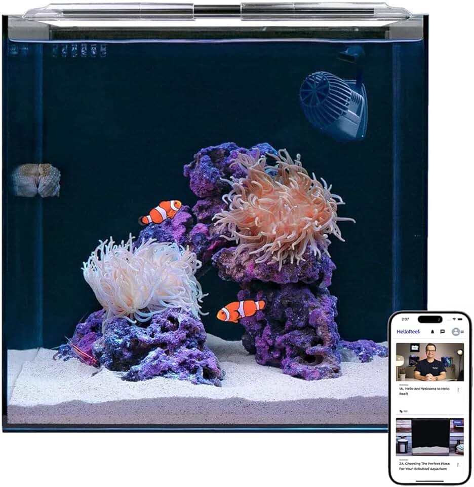 HelloReef 15 Gallon Aquarium Kit