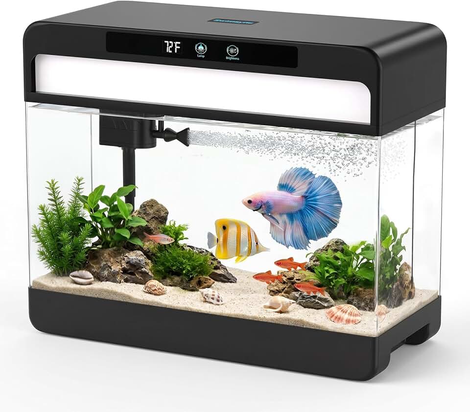 3 Gallon Smart Aquarium