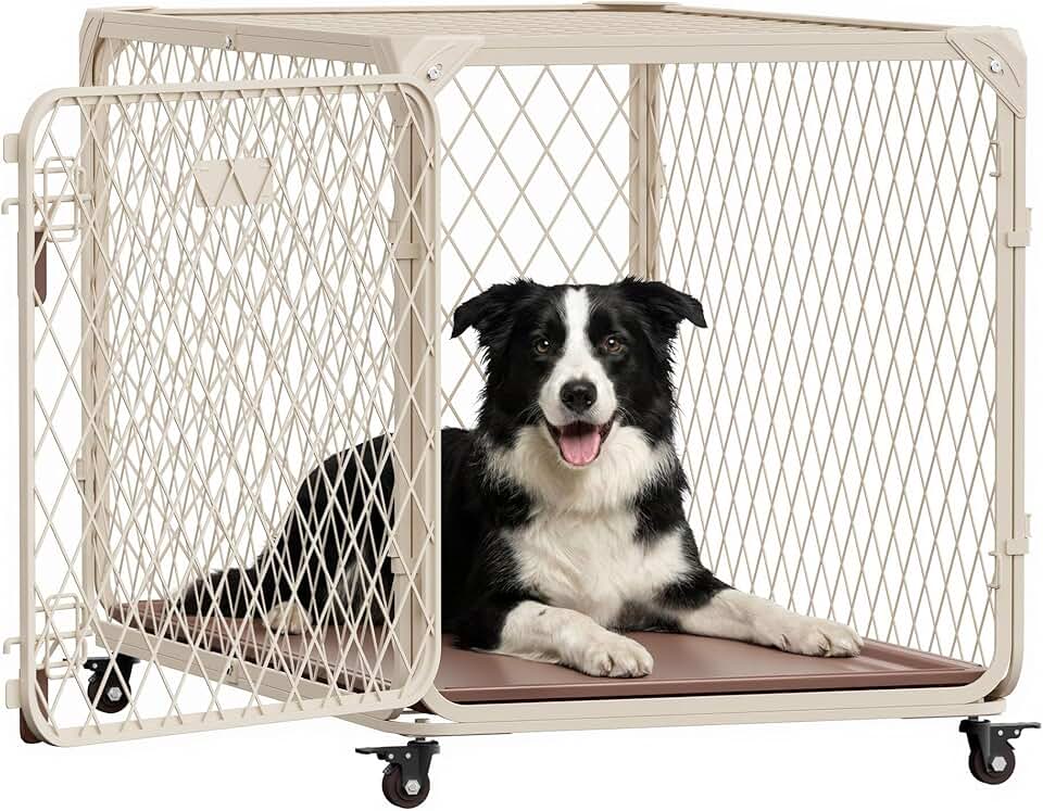 36 Inch Dog Crate