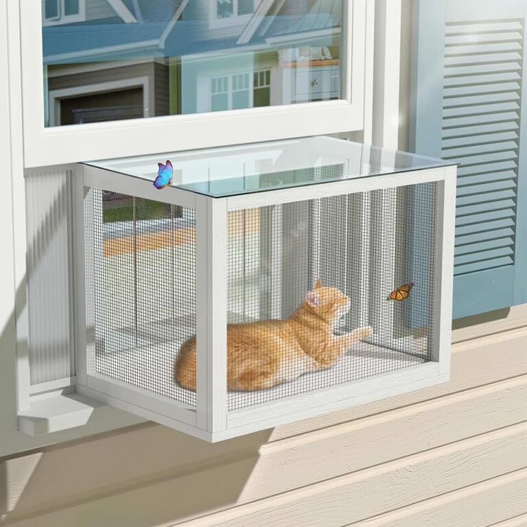 GDLF Cat Window Box