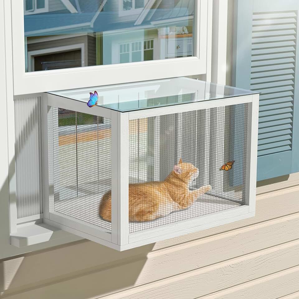 GDLF Cat Window Box