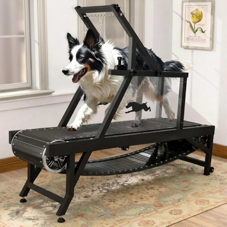 HotFeed Dog Treadmill