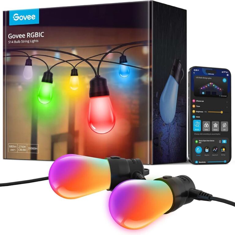 Govee H7015 String Lights