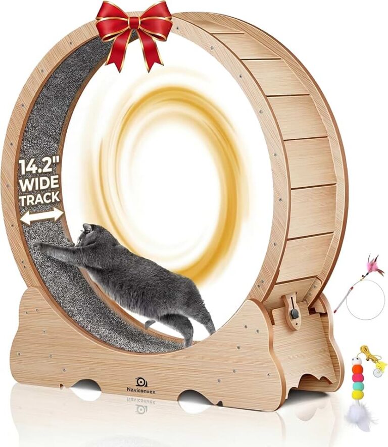 XL Cat Wheel