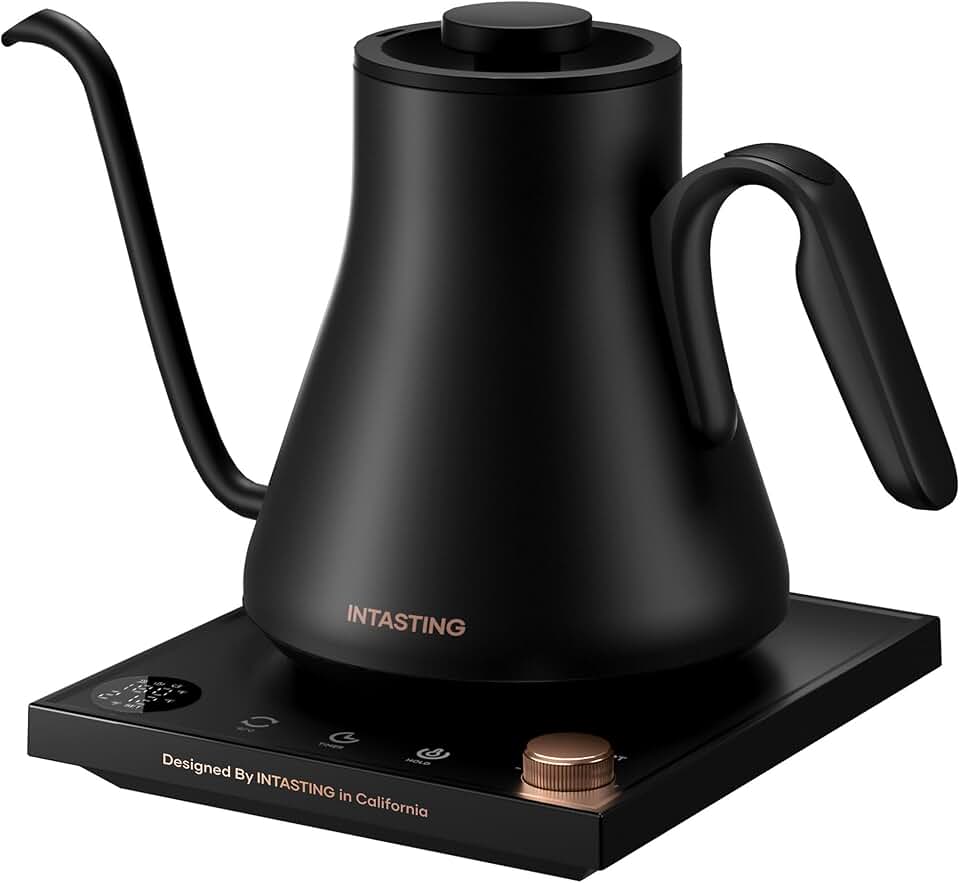 INTASTING Gooseneck Kettle