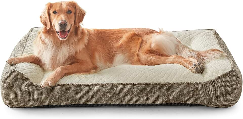 JOEJOY Orthopedic Dog Bed