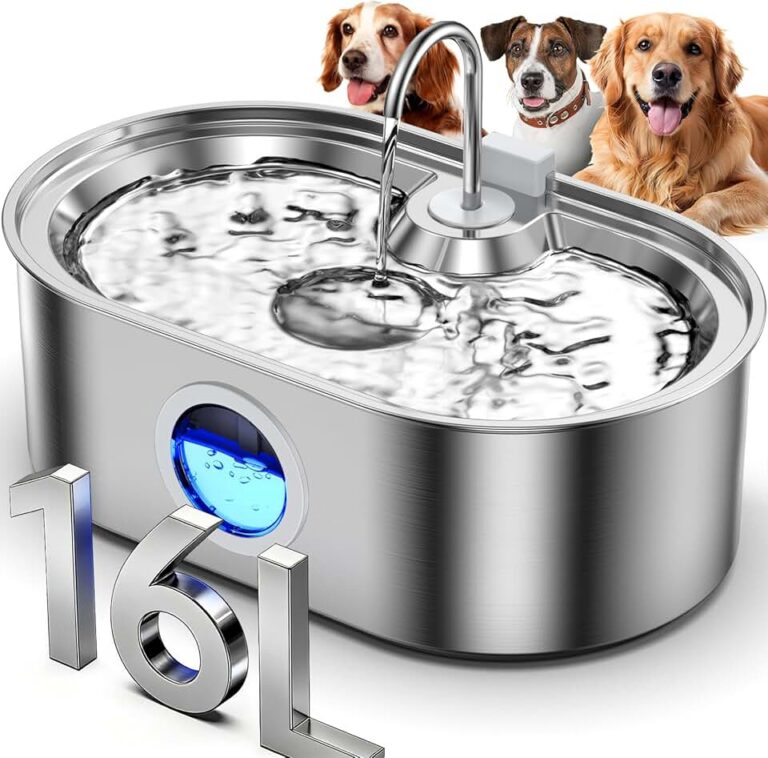 Large Dog Water Fountain