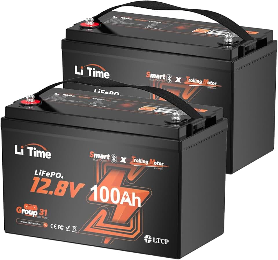 Litime 100Ah LiFePO4 Battery