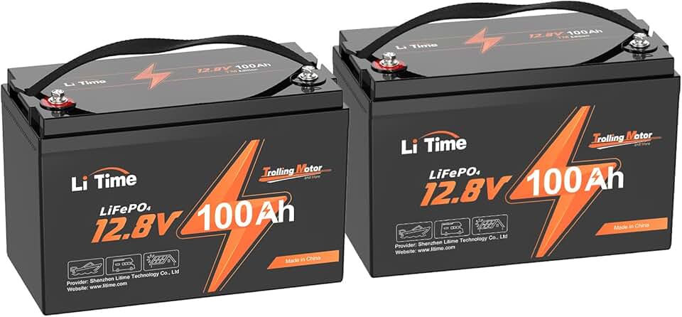 LiTime 12V 100Ah Battery