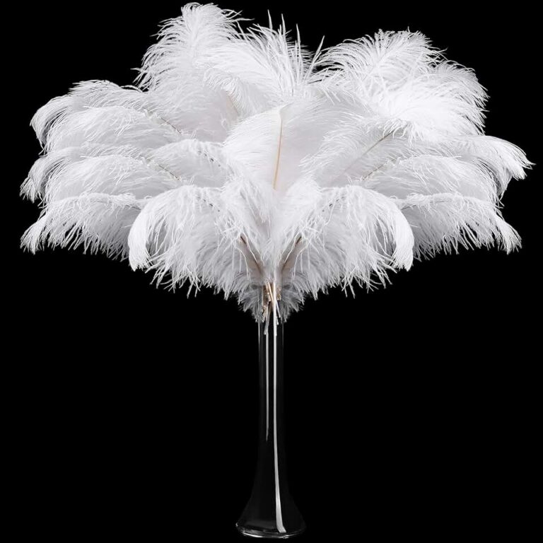 Natural Ostrich Feathers