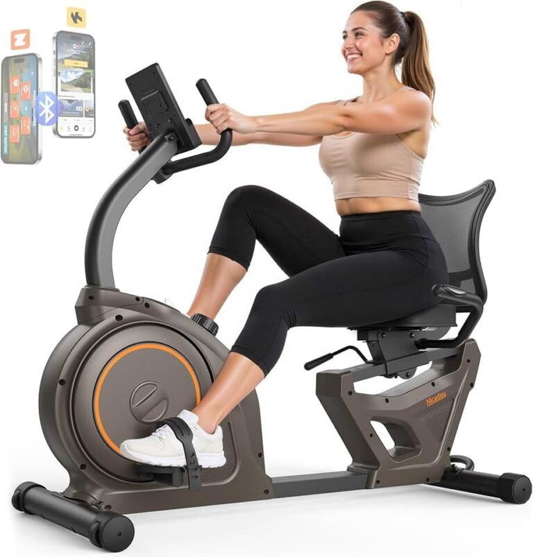 Niceday Recumbent Exercise Bike