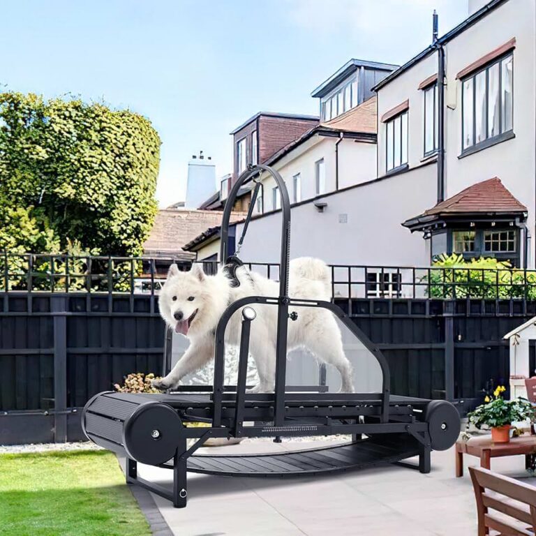 Non-Motorized Dog Treadmill